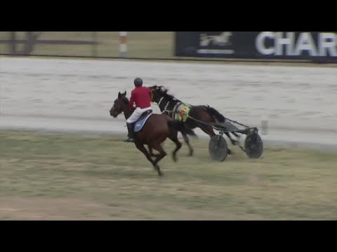 Incredible call of clerks capturing runaway harness racing horse at Charlton!