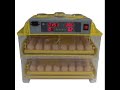 Egg Fill Incubator A1 112 5