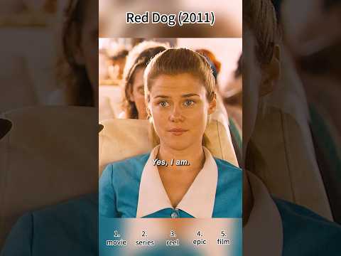 Red Dog (2011) | Reporter Puts a Bossy Dog in His Place 😱🐕🚌