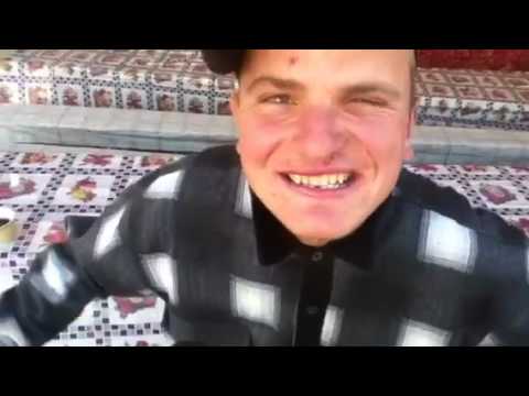 Dan vanatorul de gagici fratostita