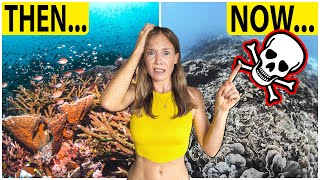Raja Ampat: Why is NOBODY Talking About This?!