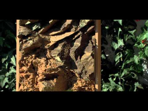 Terroir erleben - Weingut Lorenz, Südsteiermark