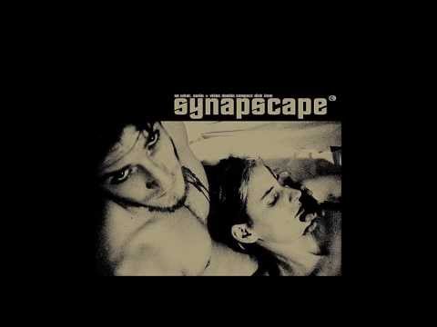 Synapscape - 7th Sect