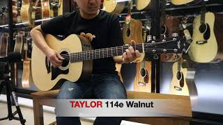 Video thumbnail for TAYLOR 114e WALNUT & MARTIN GPX1AE by TVTHUNDER BIRD (bird)
