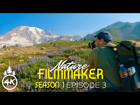 Travel Adventures in our Filming Trip to Mount Rainier - Season 1, Ep 3 - Nature Sound Version