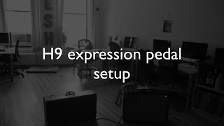 Video thumbnail for Expression pedal parameters for the Eventide H9 by James Lebihan