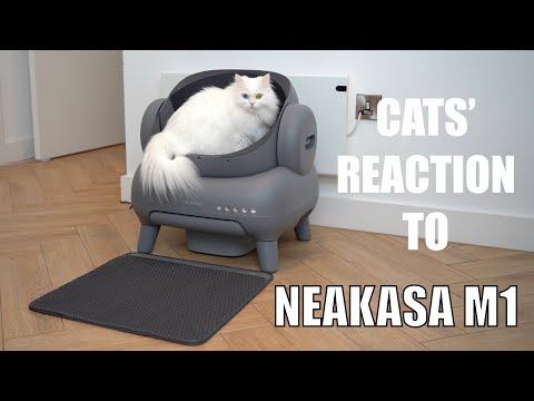 Savaime išsivalanti kačių kraiko dėžutė Neakasa M1 video