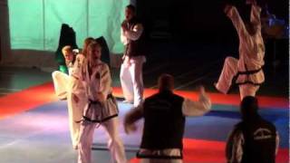 preview picture of video 'Martial Arts Gala Taekwondo-Leerdam'