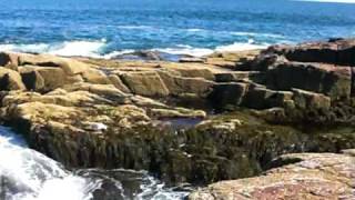 preview picture of video 'Thunder Hole Acadia National Park 2of2'