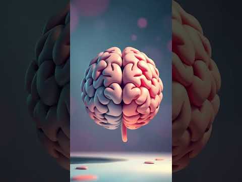 The Truth About Left Brain vs  Right Brain Myth