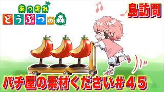 【あつまれどうぶつの森】島訪問！パチ屋立ち上げ素材回収！ ＃４５【にじさんじ / 赤城ウェン】