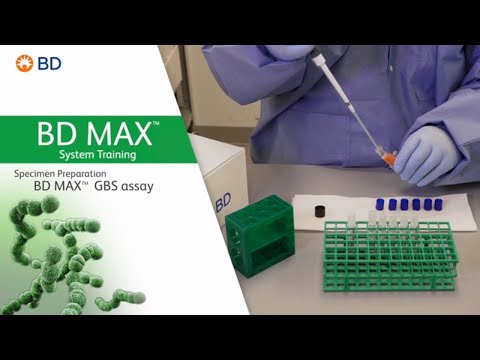BD MAX™ GBS Assay │ Specimen Preparation