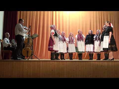 ŽSSk FSk Gočovan z Gočova / Hlase moj, hlase moj... (2019)