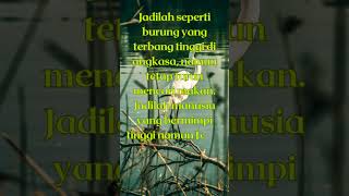 Download lagu Kata' bijak tentang burung mp3 Download lagu Kata' bijak tentang burung mp3