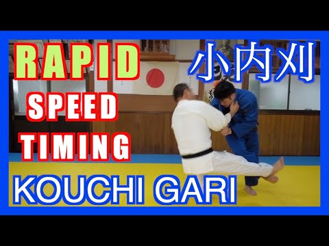Ko uchi gari the Giant slayer