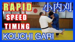 Ko uchi gari the Giant slayer