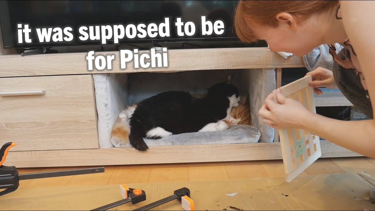 I made a quiet box for our cats