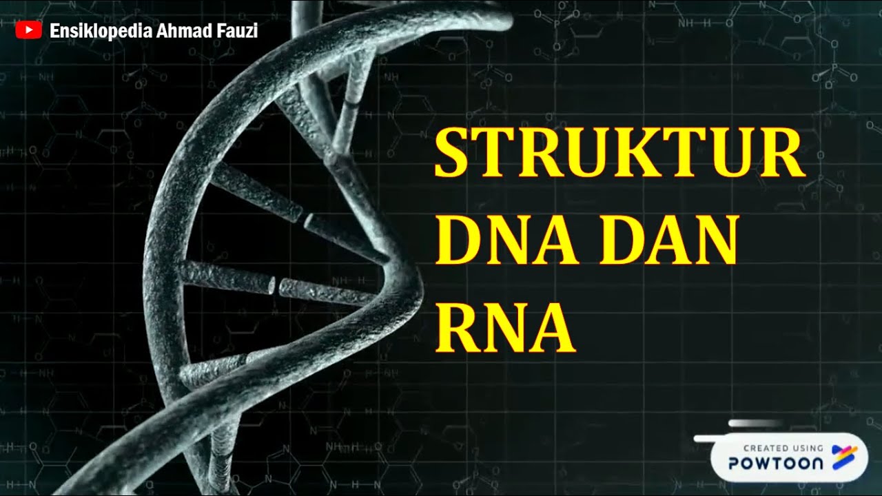 Struktur DNA dan RNA