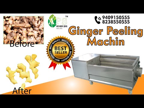 Ginger Peeling Machine 500KG/H