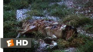 Lassie Come Home (6/10) Movie CLIP - Dally &amp; Dan&#39;l to the Rescue (1943) HD