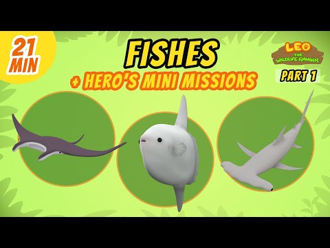 Fishes (Part 1/2) - Junior Rangers and Hero's Animals Adventure | Leo the Wildlife Ranger