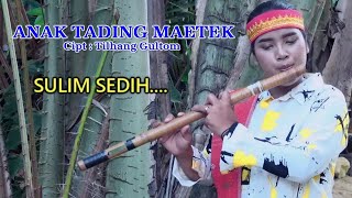 Download lagu Seruling Batak Sedih - Anak Tading Maetek | Rade Anjani Siahaan mp3 Download lagu Seruling Batak Sedih - Anak Tading Maetek | Rade Anjani Siahaan mp3