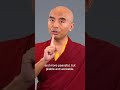 Give The Monkey Mind A Job Mingyur Rinpoche Meditation Mentalhealth