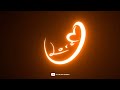 Ishq Wala Love Song New Black Screen Lyrics Whatsapp Status 2k22 By It S Black Screen