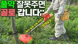 과하면 죽고