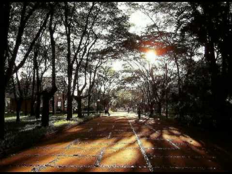 Entrada da Formatura - Prévia