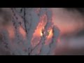 Jóhann Jóhannsson - Odi et Amo 