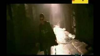 Amigo Vulnerable By Enrique Iglesias