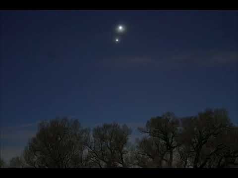 Mar 2, 2023 Venus/Jupiter/Owl conjunction