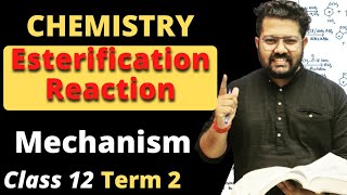 Mechanism of Esterification Reaction | Class 12 Term 2 | Aldehydes Ketones and Carboxylic Acid
