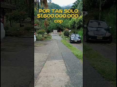 Hermosa finca ganadera en venta 80% plana - La Virginia Apia Risaralda