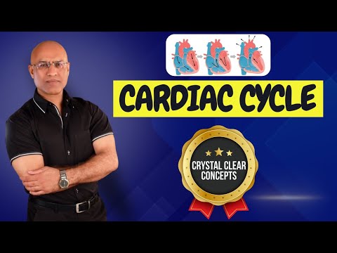 Cardiac Cycle - Systole & Diastole - Cardiology