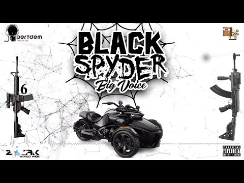 Big Voice - Black Spyder