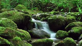 صورة حي على الصلاة، حي على الفلاح - الشيخ عبدالرحمن الودعان