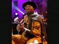 ali farka toure sega african tradionnal music instrumental