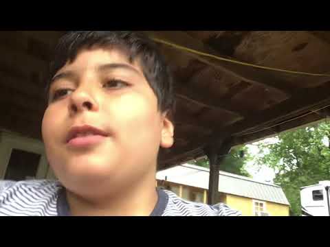 Dog reveal first video!