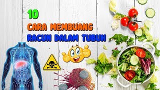 Download lagu 10 CARA MEMBUANG RACUN DALAM TUBUH 👏✔ mp3 Download lagu 10 CARA MEMBUANG RACUN DALAM TUBUH 👏✔ mp3