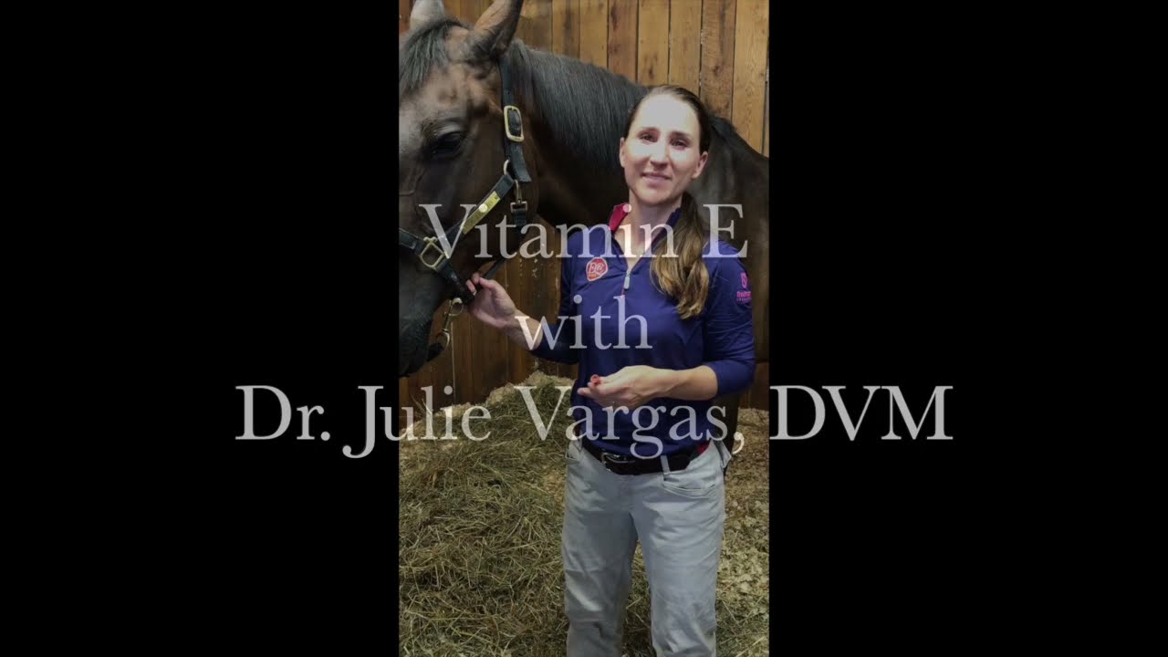 Vitamin E in Excel Supplements