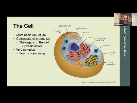 Building Your Toolbox - Mitochondrial Health