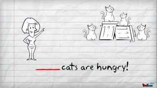 2 minute this that these those