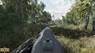 Watch and explore about On the Hunt PC Steam CD Key