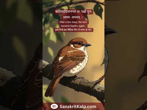 Sanskrit Story - 7 | Sanskrit Kalp