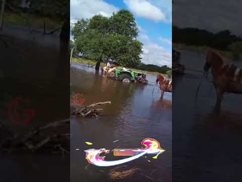 #formosa #youtube #noticias #argentina #tiktok #viralshort #shortsfeed #trader #news #newsong #viral