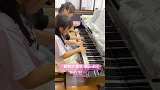 Download lagu 「動物の謝肉祭」より化石/サン=サーンス(ピアノデュオ) mp3 Download lagu 「動物の謝肉祭」より化石/サン=サーンス(ピアノデュオ) mp3