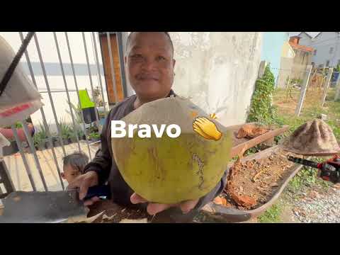 Master coconut cutting Skill