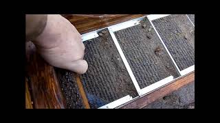 Rocker Box and Sluice Combination in Gold Canyon